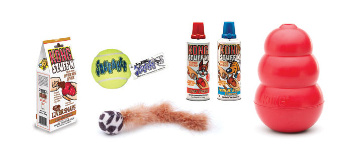 Kong Toys & Treats