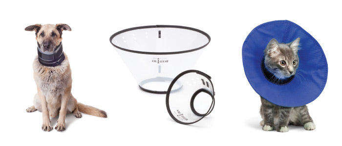 Recovery & E-Collars