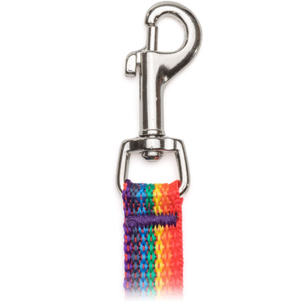 #106 Flat Leashes with Bolt Snap (9/16" x 4')