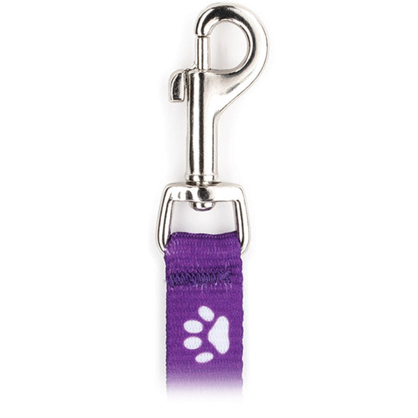 #106-BP 4-ft. Printed Paw/Bone Flat Leashes w/ Bolt Snap