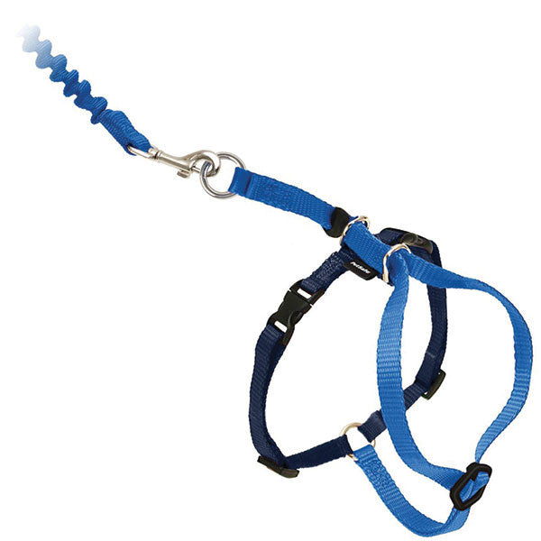 Come With Me Kitty Harness and Bungee Leash