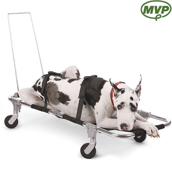 Pakistan Pet Relocation Companies Buy Heavy Duty Portable Airbox