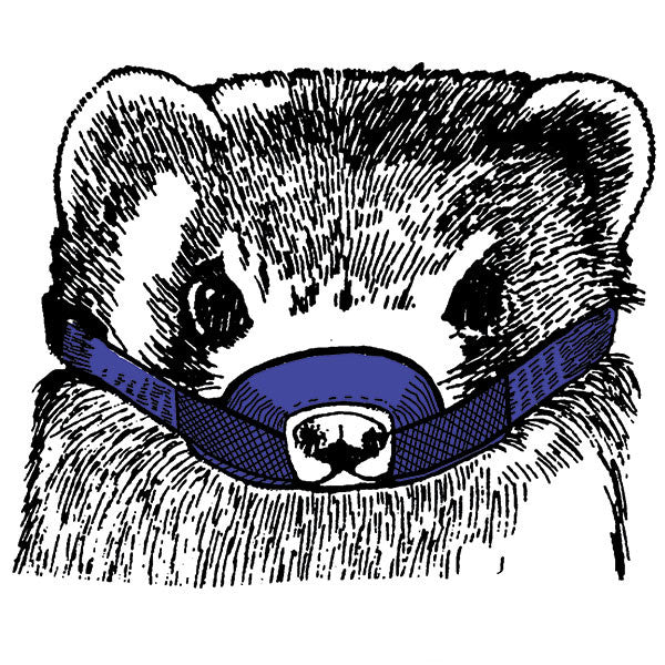 Muzzles - Ferret