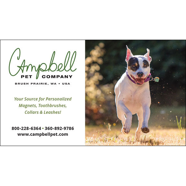 Personalized Magnets