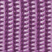 Cat Elasti-Collar