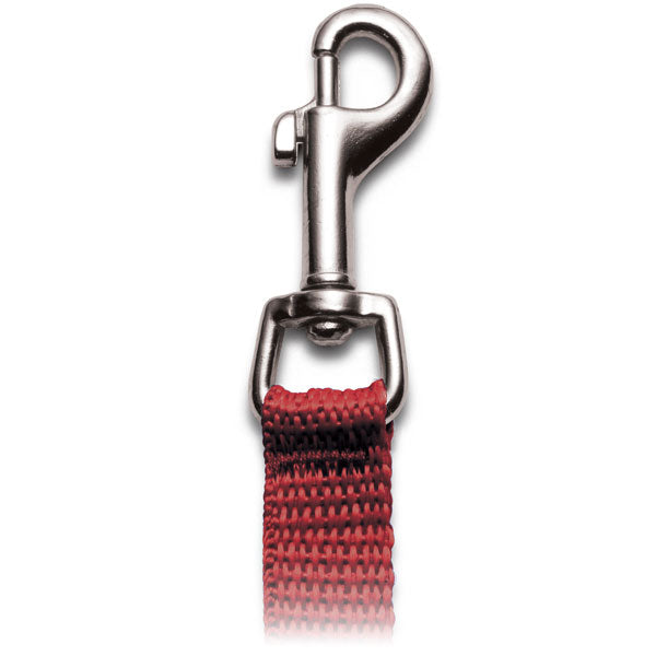 #106-N-6 6-ft. Nylon Flat Leashes with Bolt Snap (9/16