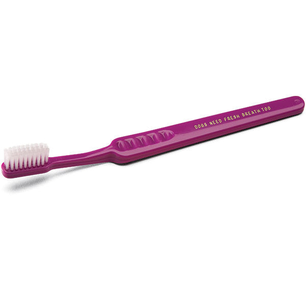 Custom Logo Toothbrushes