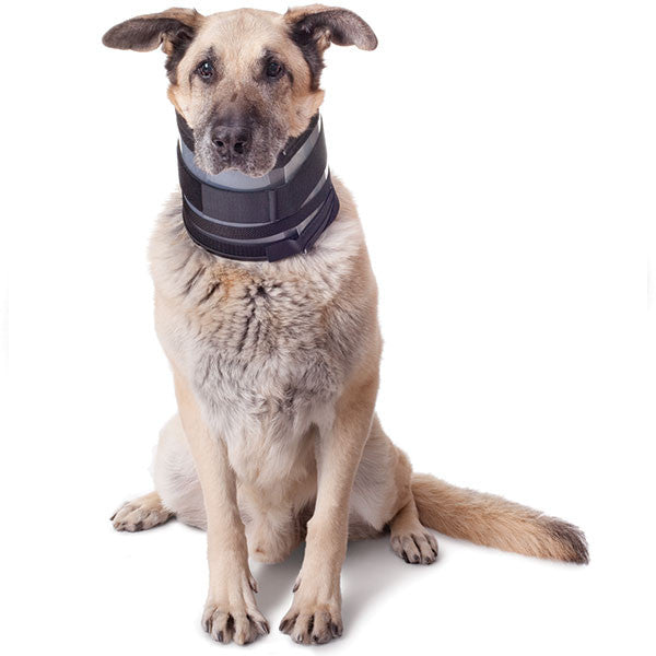 KONG E-Collar EZ Soft for Pets, Small