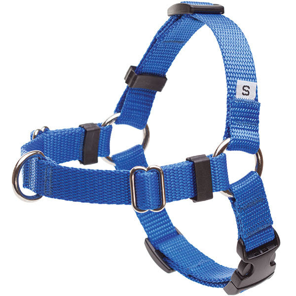 Front-Clip Harness