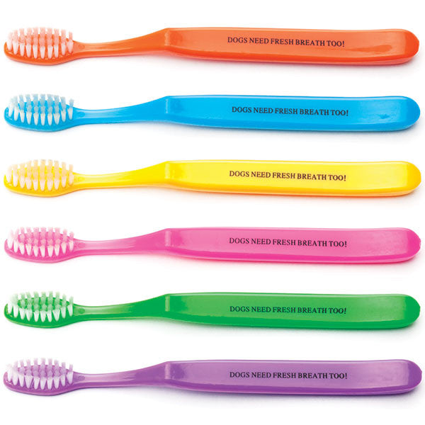 Pediatric Sized "GOOD BREATH" Toothbrushes