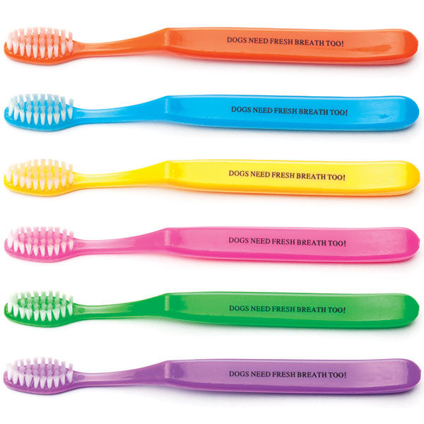 Adult Sized "GOOD BREATH" Toothbrushes