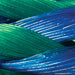 Free gift - #102 52" Rope Leashes with no Ring