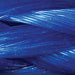 Free gift - #102 52" Rope Leashes with no Ring